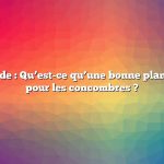 Réponse rapide : Qu’est-ce qu’une bonne plante compagne pour les concombres ?